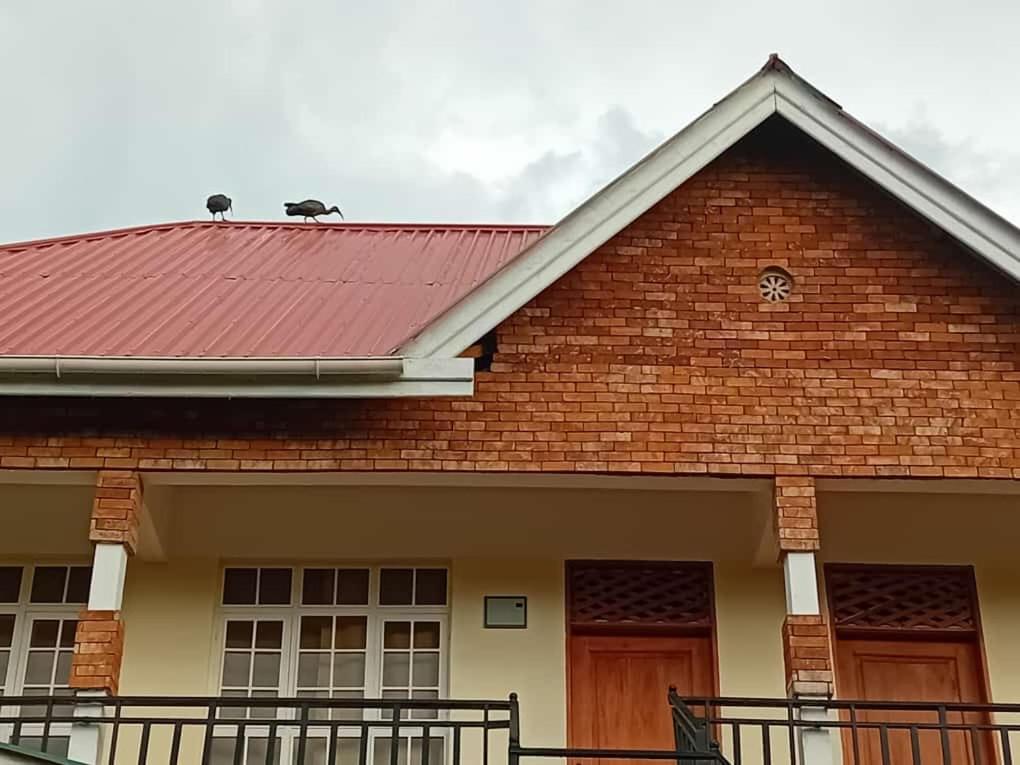 Seven Seven B&B Arusha Exteriér fotografie
